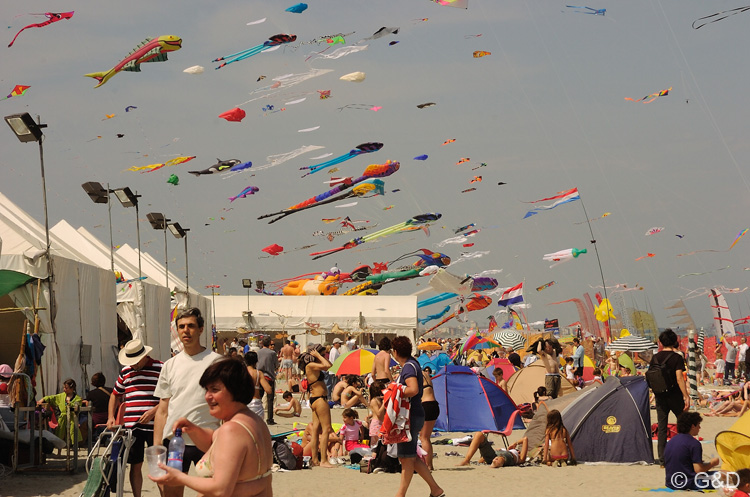 Cervia_ground_142