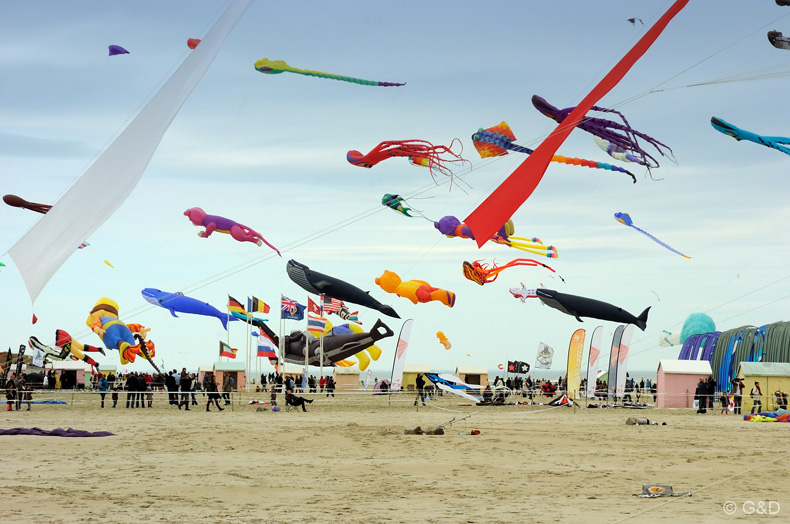 Berck.sur.Mer.2013_008