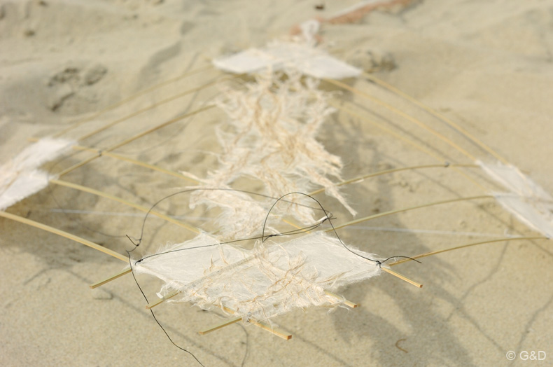 Berck.sur.Mer.2013_051