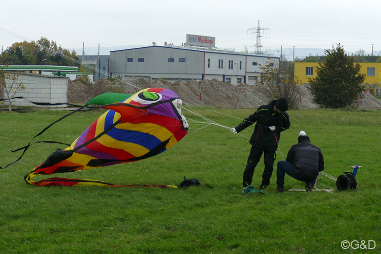 halloweenfliegen02