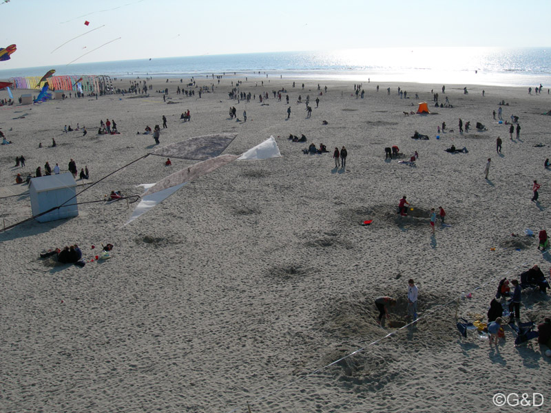 berck084